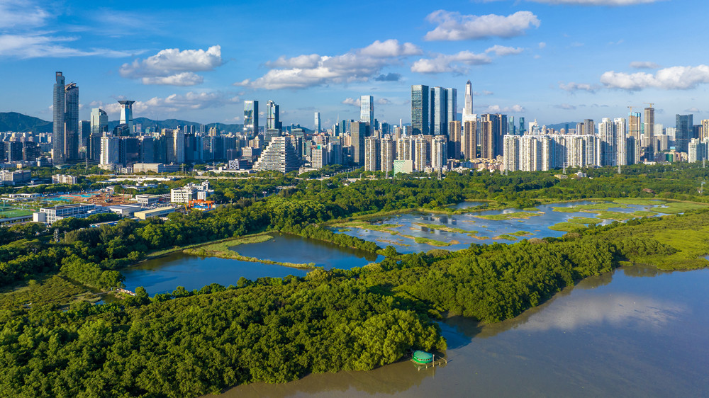 China unveils its International Mangrove Centre