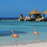 Aruba Entry Requirements For US Citizens: The Easy Guide